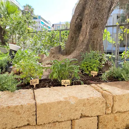 Appartamento La Vela - Ariston & Casino - Con Giardino Privato E Garage アパート